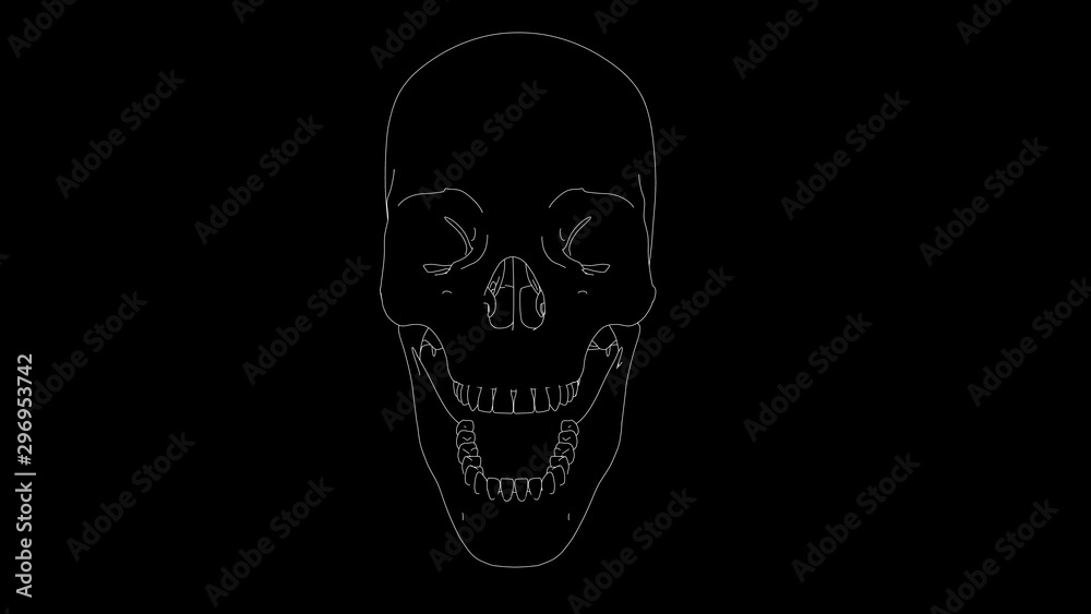 drawing of skeleton skull laughing in black and white