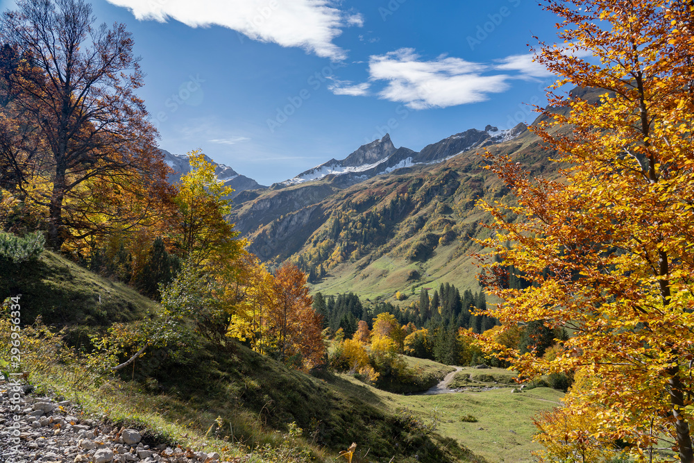colorful mountain landscape in autumn with golden leaves on trees, Allgau alps in Bavaria, Germany colorful mountain landscape in autumn with golden leaves on trees, Allgau alps in Bavaria, Germany