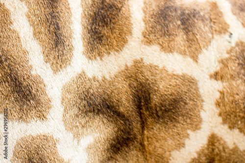 Very beautiful giraffe pattern background