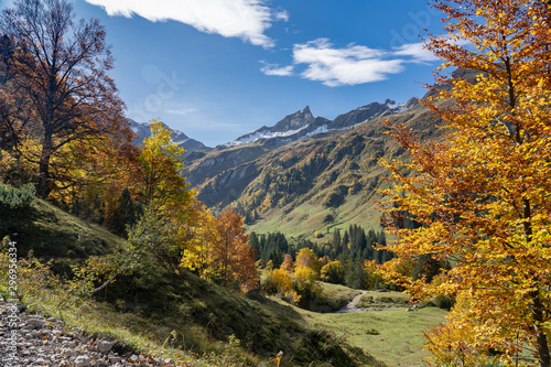 colorful mountain landscape in autumn with golden leaves on trees, Allgau alps in Bavaria, Germany