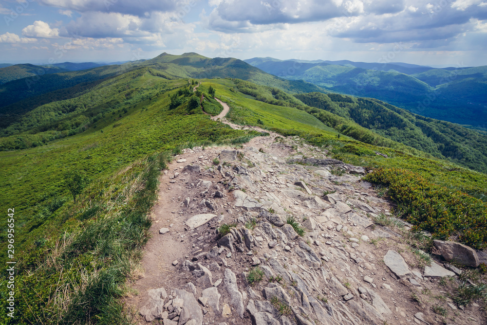 Fototapeta premium Hiking trail from Smerek Peak in Bieszczady National Park, Poland