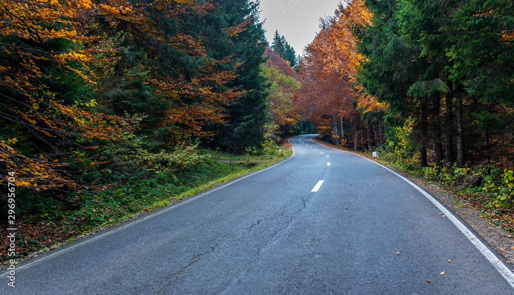 Asphalt road leading trough deciduous woods in the Carpathian mountains in Transylvania at autumn. Asphalt road leading trough deciduous woods in the Carpathian mountains in Transylvania at autumn.