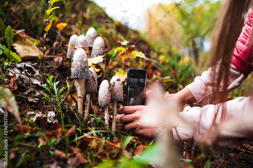 Girl in the autumn forest photographs poisonous mushrooms.