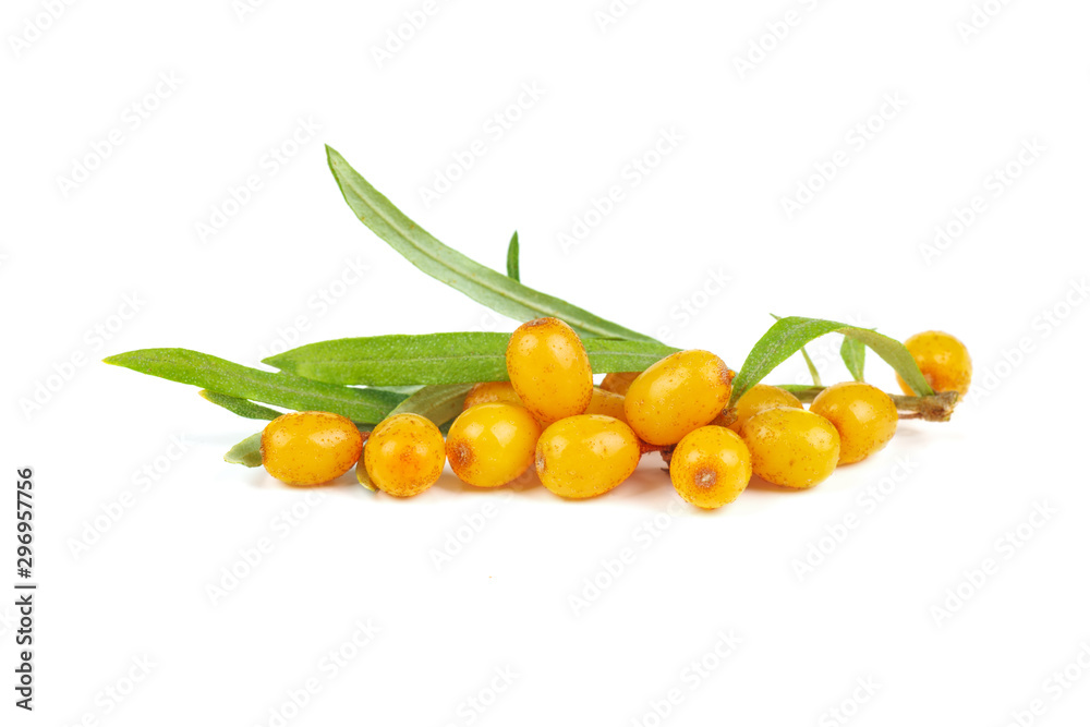 Sea-buckthorn berries and some leaves isolated on white background Sea-buckthorn berries and some leaves isolated on white background