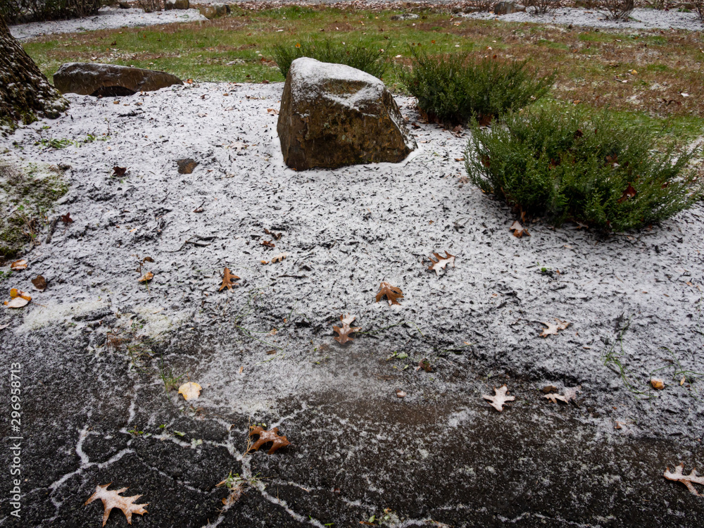 Fototapeta premium first dusting of snow of the season in the garden