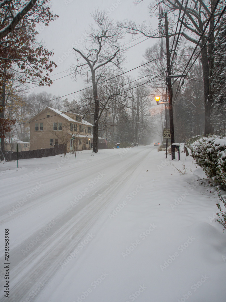 Naklejka premium county road under the first snow of the season in November