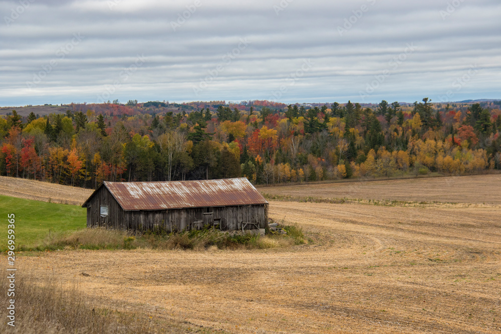 old barn in the field old barn in the field