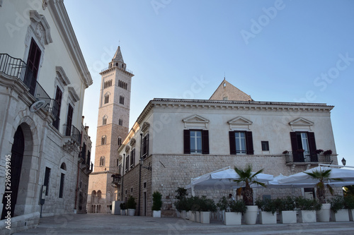 View of the Cathedral in Trani, Italy © alessandro