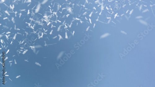Winter snow and frost background with free space for your decoration. Christmas background with blurry bokeh. Winter landscape