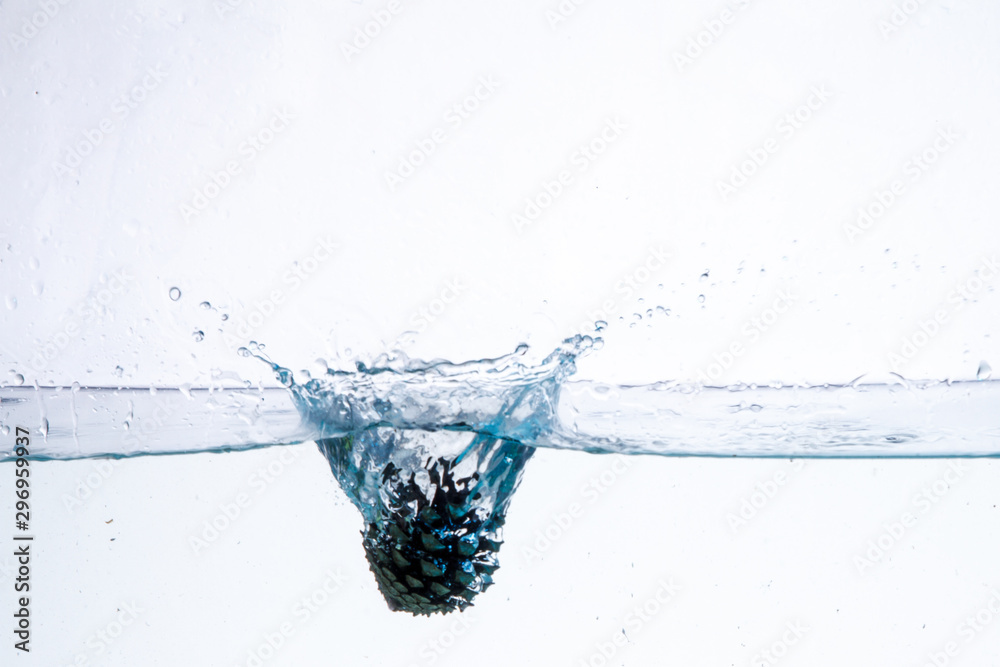 Water Splash Photography: a conifer cone falling in water creating a large splash on a white background Water Splash Photography: a conifer cone falling in water creating a large splash on a white background