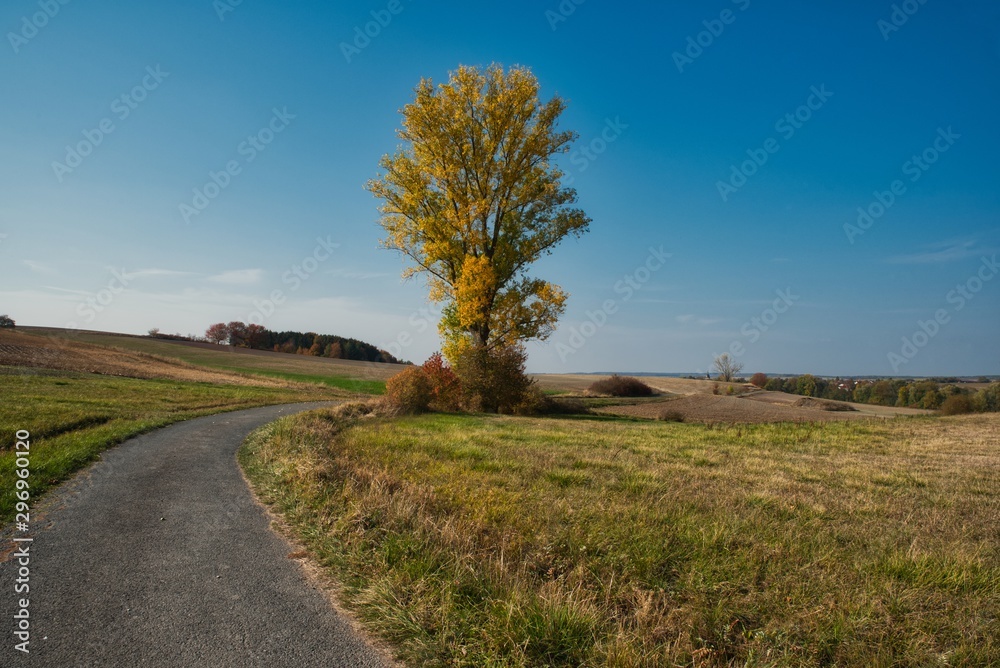 Landschaft und Felsweg im Herbst