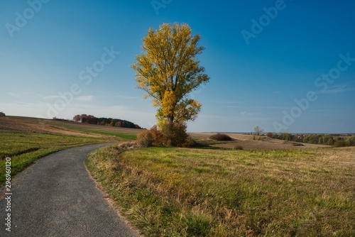 Landschaft und Felsweg im Herbst