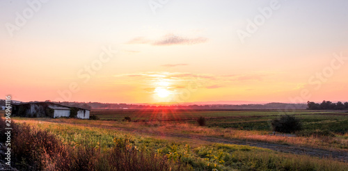 Fototapeta Naklejka Na Ścianę i Meble -  Old white barn covered in vines on a humble farm under late summer sunset , banner size