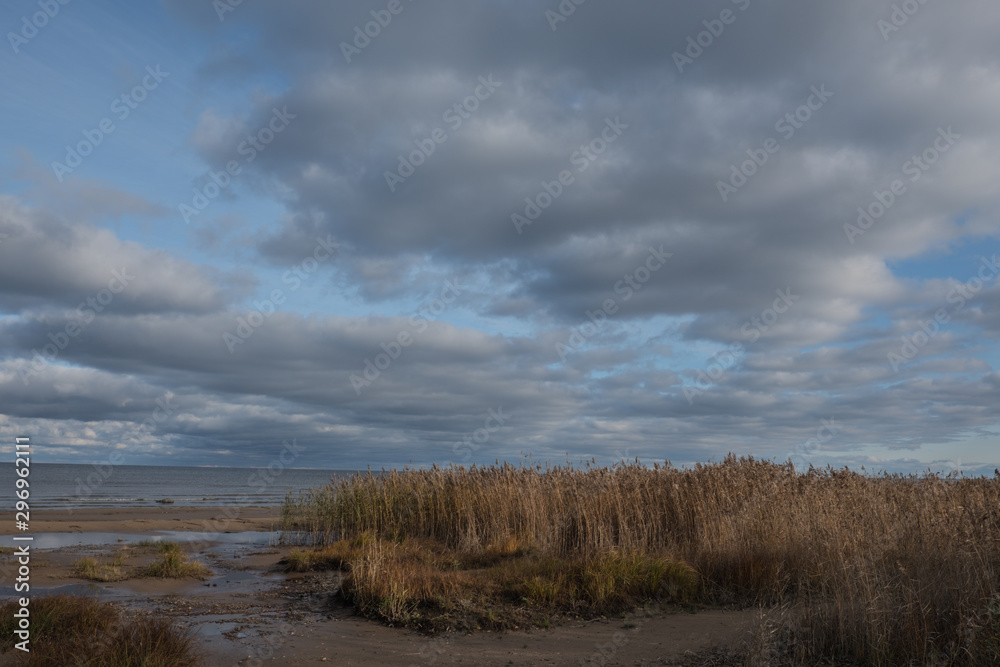 Scenery. View of the lake against the blue sky. White clouds. Reed grows on the sandy shore. Autumn, day.