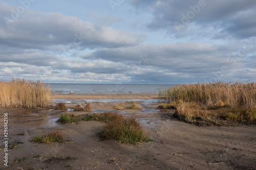 Scenery. View of the lake against the blue sky. White clouds. Reed grows on the sandy shore. Autumn  day.