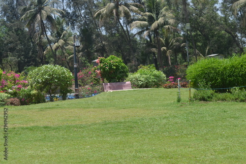 Va-pi Gujarat in the Garden