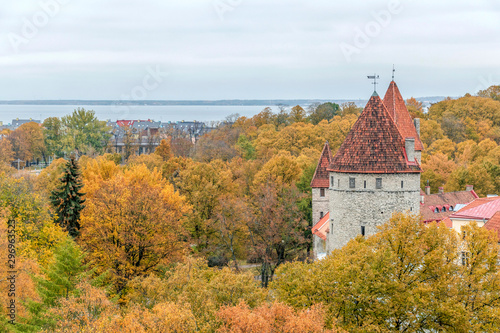 Red roofed Towers of Medieval Old Town in Tallinn, Autumn in Estonia © nomadkate