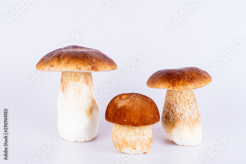 Closeup of 3 kitchen ready-to-eat boletus mushrooms in front of white background