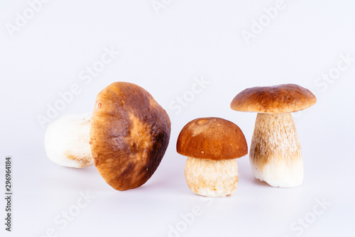 Closeup of 3 kitchen ready-to-eat boletus mushrooms in front of white background