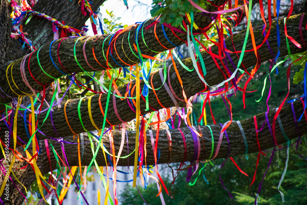 Colored ribbons around the branches of a tree, diversity, discrimination, racism, lgbt, conceptual