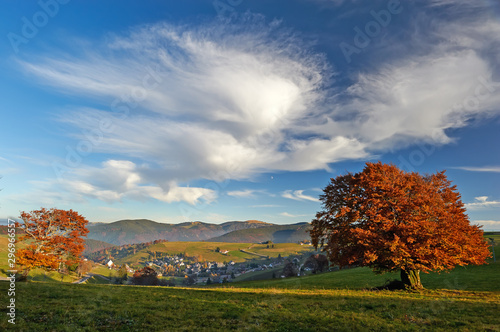 Autumn in the Black Forest, Southern Germany photo