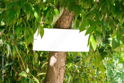 a white, rectangular sign tied to a tree (without nails), in the green foliage of this tree