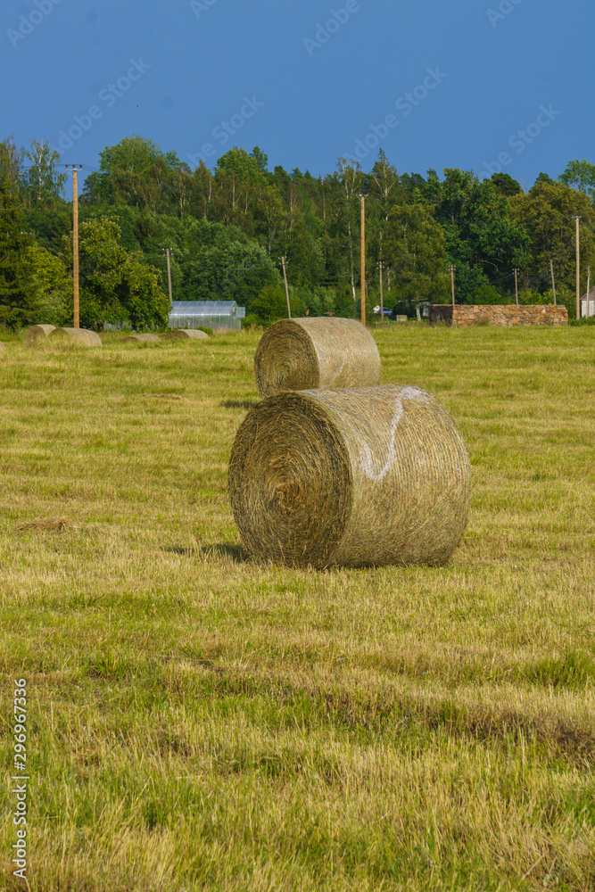 Endless fields with rolls of hay. Rural landscape. Endless fields with rolls of hay. Rural landscape.