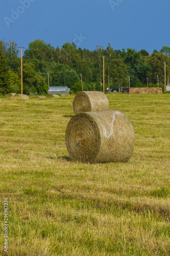 Endless fields with rolls of hay. Rural landscape.