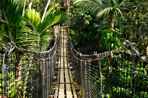 Suspended bridges at top of the trees in Parc Des Mamelles, Guadeloupe Zoo, in the middle of the rainforest on Chemin de la Retraite, Bouillante. Basse Terre in Guadeloupe Island, French Caribbean.