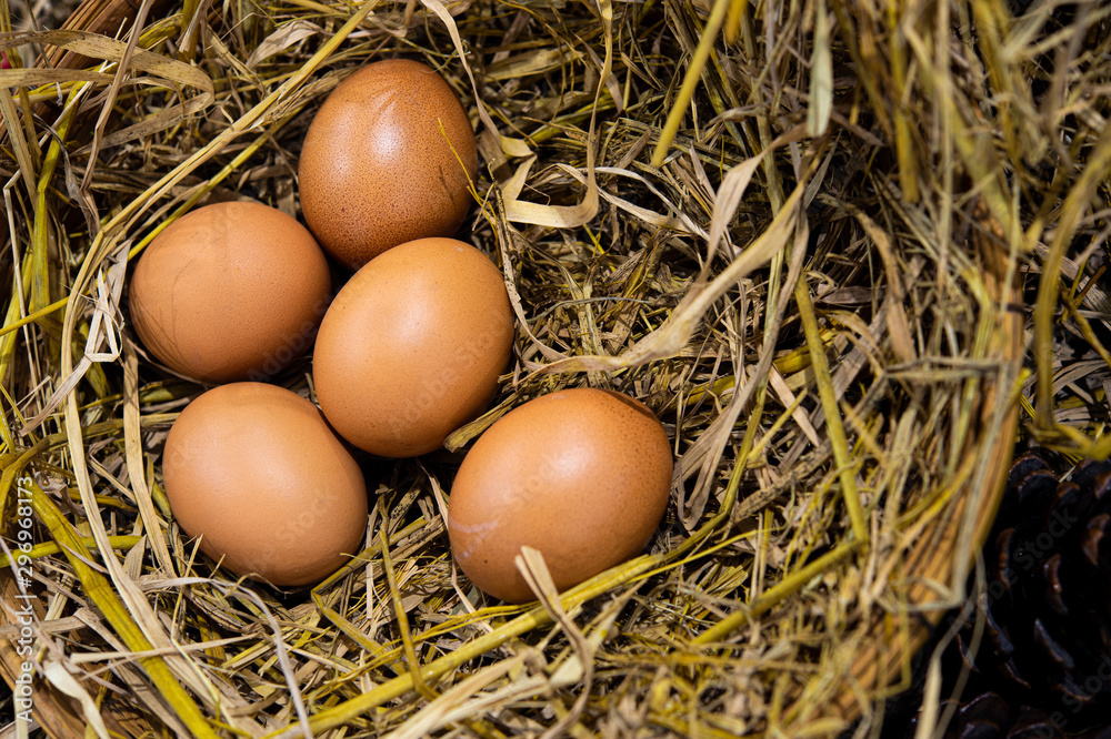 brown eggs in a nest brown eggs in a nest