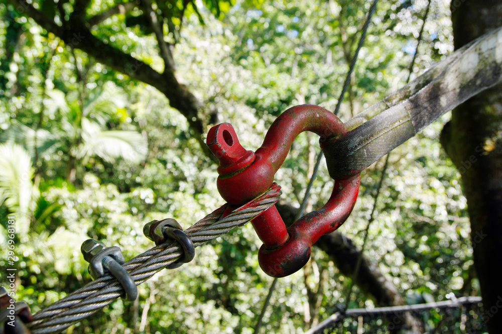 Φωτογραφία Suspended bridges at top of the trees in Parc Des Mamelles, Guadeloupe Zoo, in the middle of the rainforest on Chemin de la Retraite, Bouillante