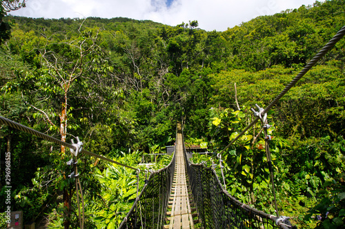 Suspended bridges at top of the trees in Parc Des Mamelles, Guadeloupe Zoo, in the middle of the rainforest on Chemin de la Retraite, Bouillante. Basse Terre in Guadeloupe Island, French Caribbean.