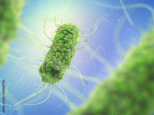 Photos Pathogenic Salmonella Bacteria, Microbiology and infectious diseases