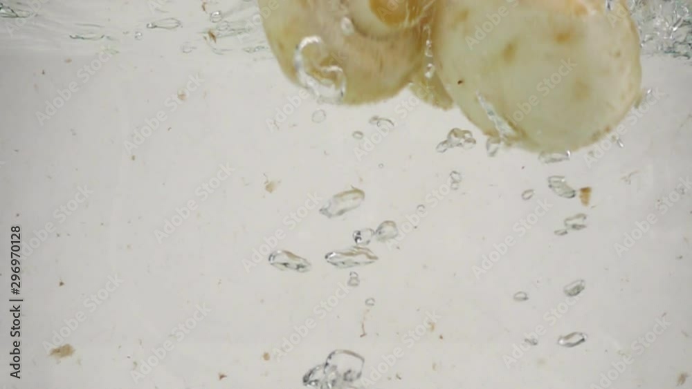 Three mushroom champignon slowly sinks into boiling water, slow motion close-up, on a white background. Theme of vegetarianism and raw food as a lifestyle. Mushroom cocktail. Three mushroom champignon slowly sinks into boiling water, slow motion close-up, on a white background. Theme of vegetarianism and raw food as a lifestyle. Mushroom cocktail.