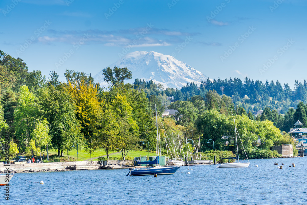Fototapeta premium Renton_Park_Lake_Shoreline_3