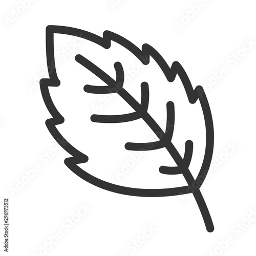 mint leaf spice outline vector icon isolated on white background. mint leaf spice flat icon for web, mobile and user interface design. herbs and spices for natural wellness