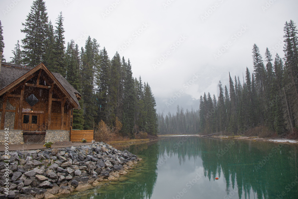 Obraz premium house in forest