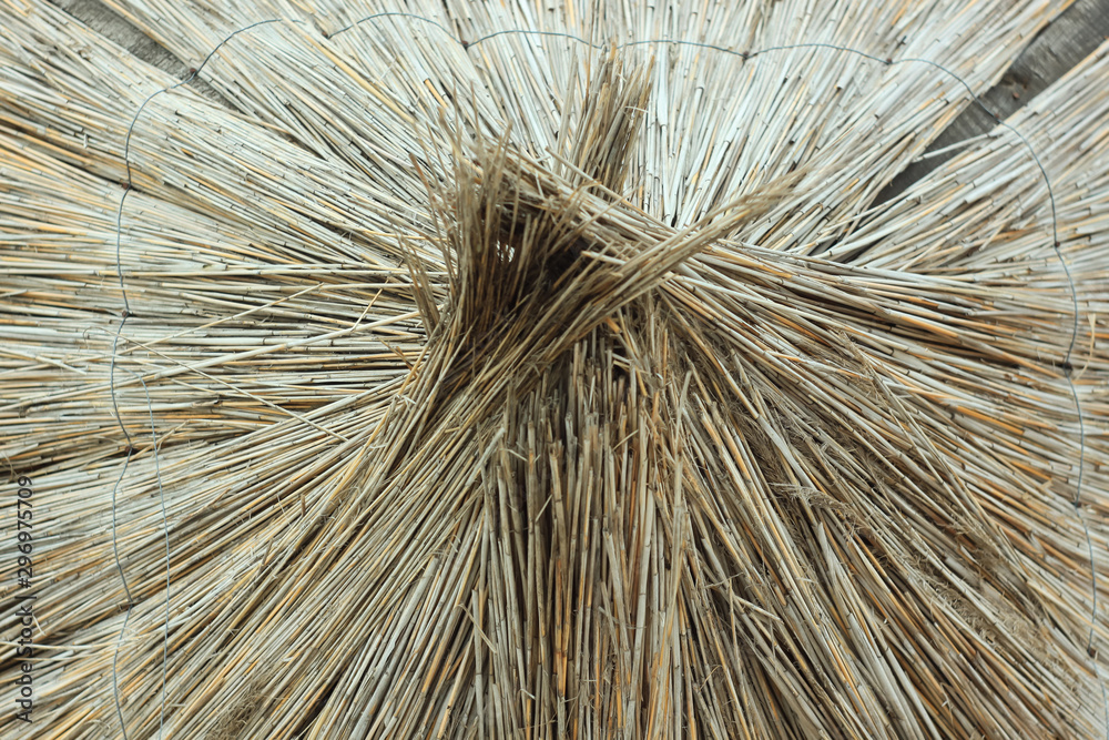 Obraz premium Straw umbrellas on an empty beach on a foggy day. Rainy cold weather on the sea coast. Travel photography.