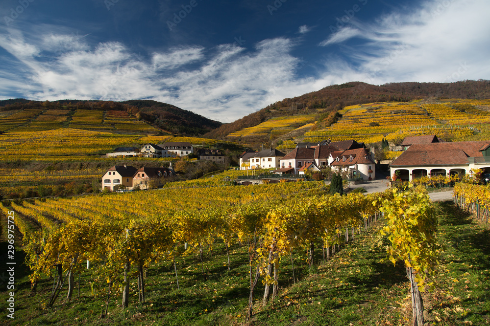 Naklejka premium Wachau