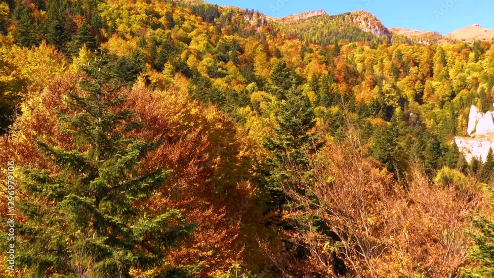Autumn mountain forest. Scenic Aerial View of Autumn Colors, Trees, Forests. Fall foliage in autumn forest. October aerial landscape. Drone flight over fall forest. Autumn leaves and trees. Autumn mountain forest. Scenic Aerial View of Autumn Colors, Trees, Forests. Fall foliage in autumn forest. October aerial landscape. Drone flight over fall forest. Autumn leaves and trees.