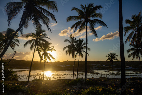 Sunset between beach palms. Fall of the sun between the trees.