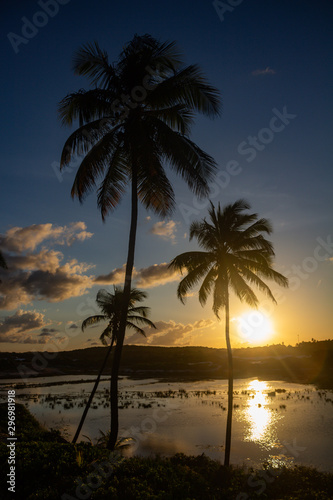 Sunset between beach palms. Fall of the sun between the trees. © Horacio Selva