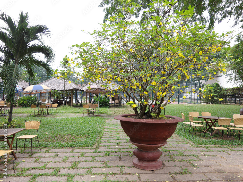 A botanical garden in Ho Chi Minh City, Saigon, Vietnam A botanical garden in Ho Chi Minh City, Saigon, Vietnam