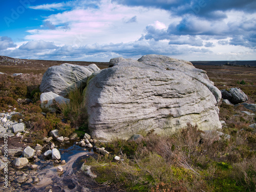 Fotografie, Obraz Eroded millstone boulders near Simon's Seat on Barden Fell in the Yorkshire Dales, England, UK - taken on a sunny day in Autumn, with moorland heather in the foreground