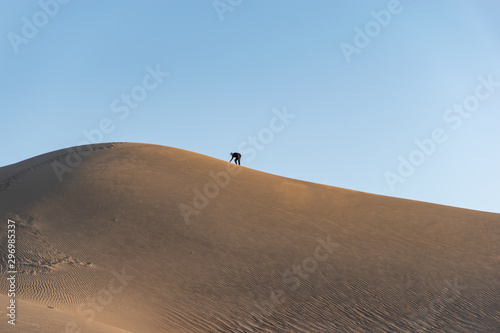 Sand dune in desert - Iran