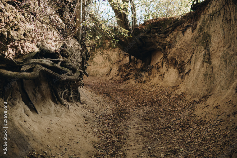 bottom of a gully landform formed in loess bottom of a gully landform formed in loess