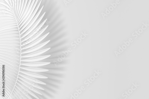 Three-dimensional palm curved leaf  like a light feather on a white background