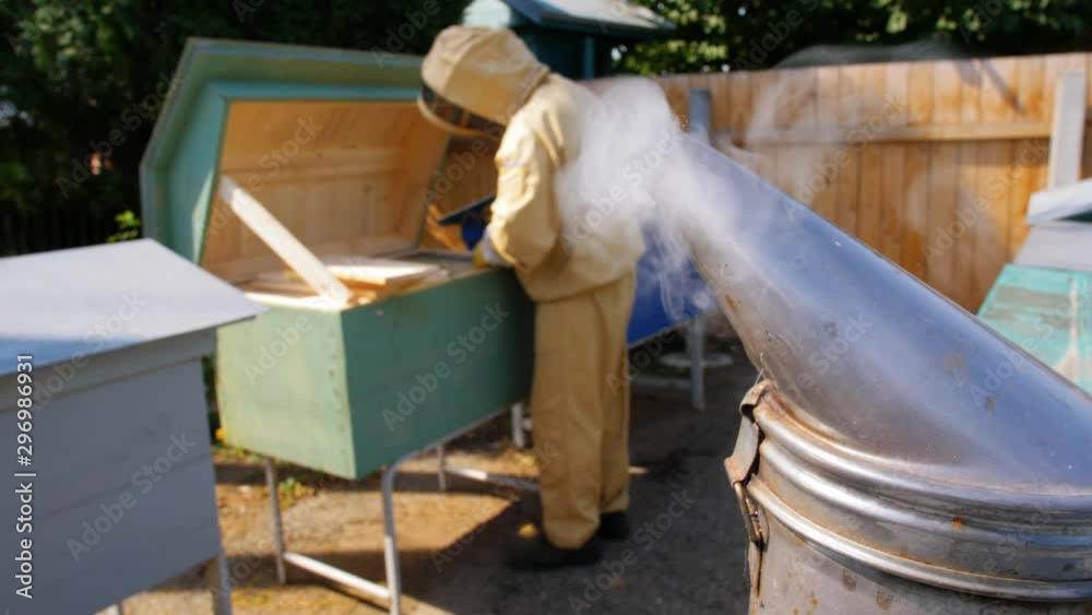 Beekeeper holding a honeycomb full of bees 4k 60p Beekeeper holding a honeycomb full of bees 4k 60p