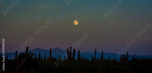 Luna sobre el desierto