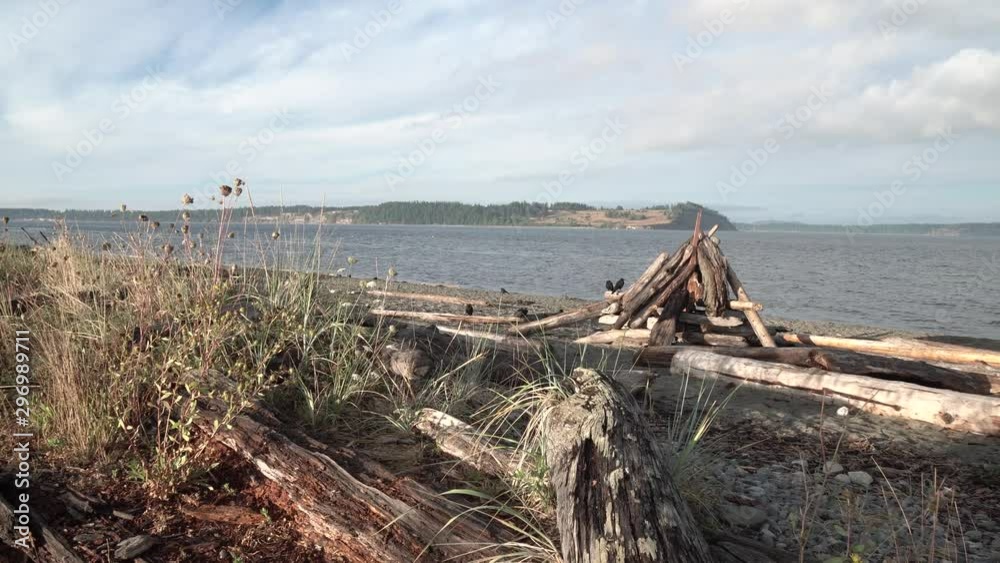 View of driftwood piled into a bonfire an a remote beach on Vancouver Island View of driftwood piled into a bonfire an a remote beach on Vancouver Island